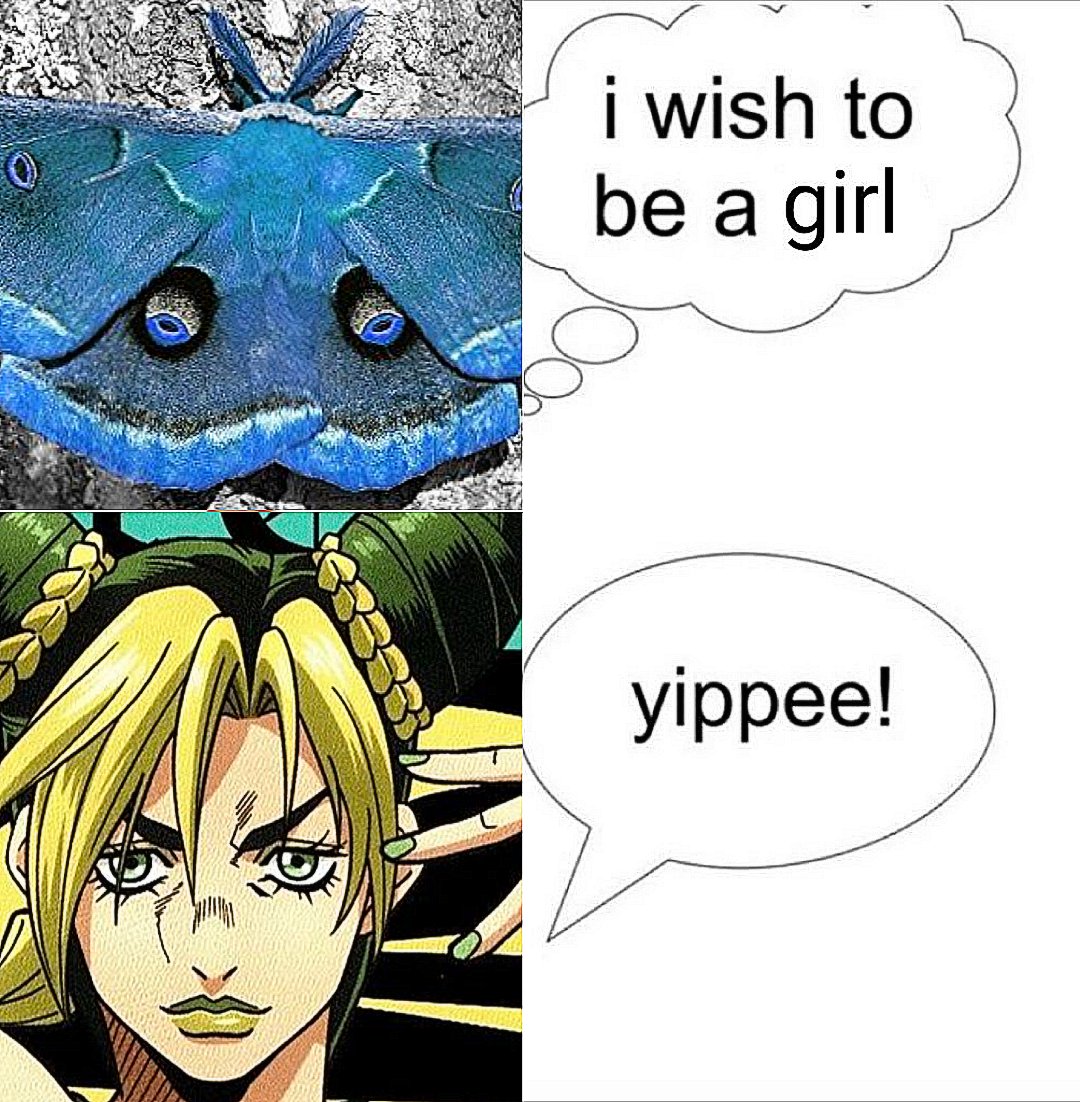 French Jotaro tweet media