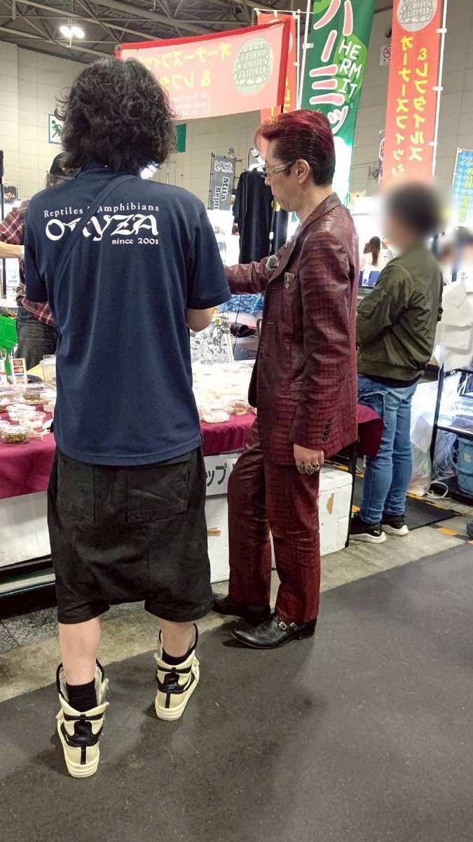 ふじぴこ tweet media