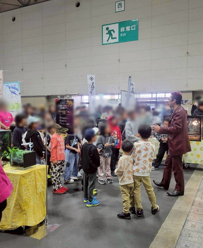 ふじぴこ tweet media