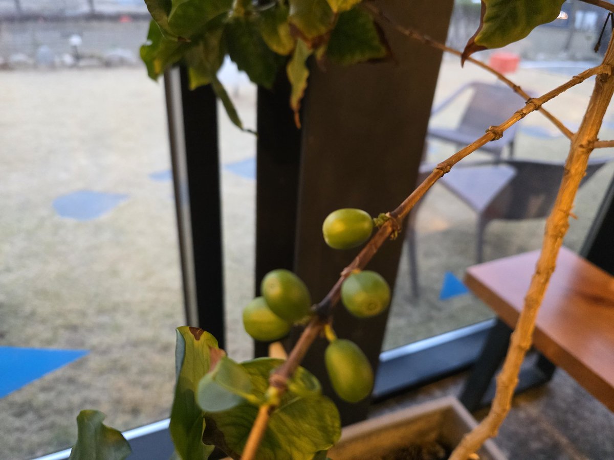 연  하 니 tweet media