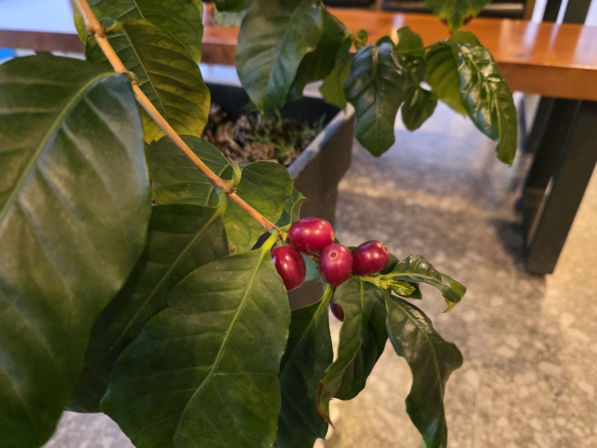 연  하 니 tweet media