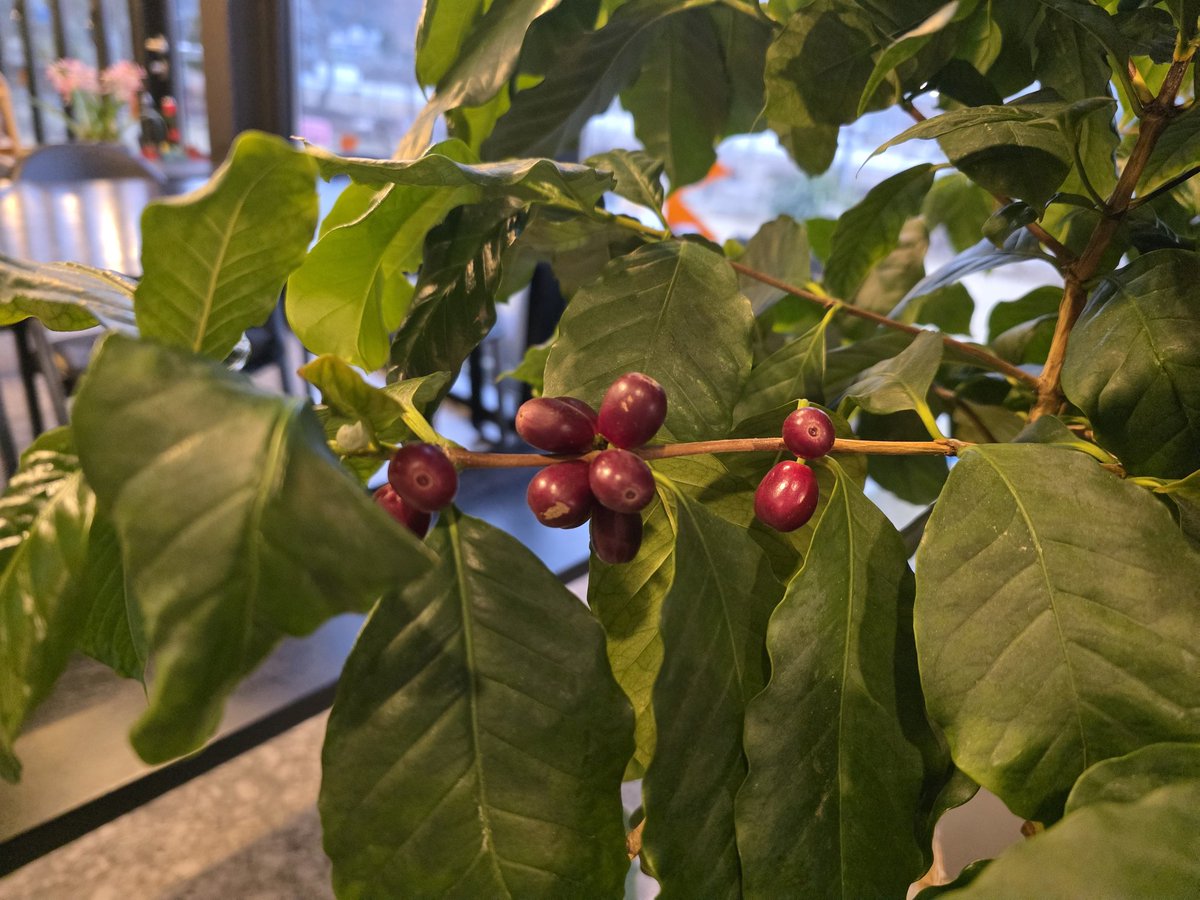 연  하 니 tweet media