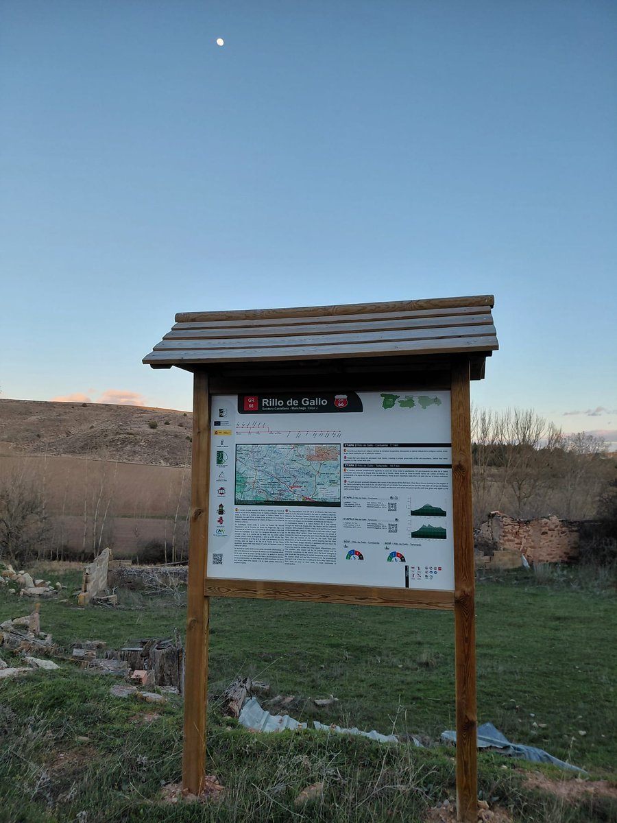 RILLO de GALLO tweet media