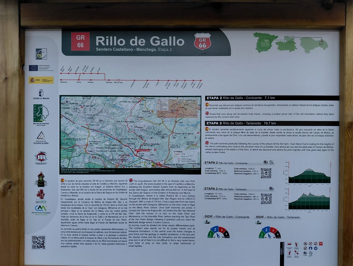 RILLO de GALLO tweet media