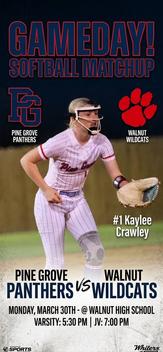 Pine Grove Softball tweet media