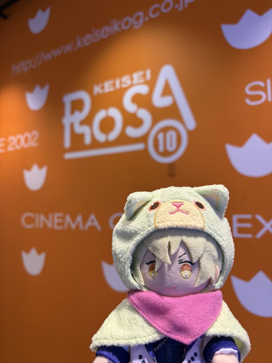 ミッシェル@コングリストーレ🌟 tweet media