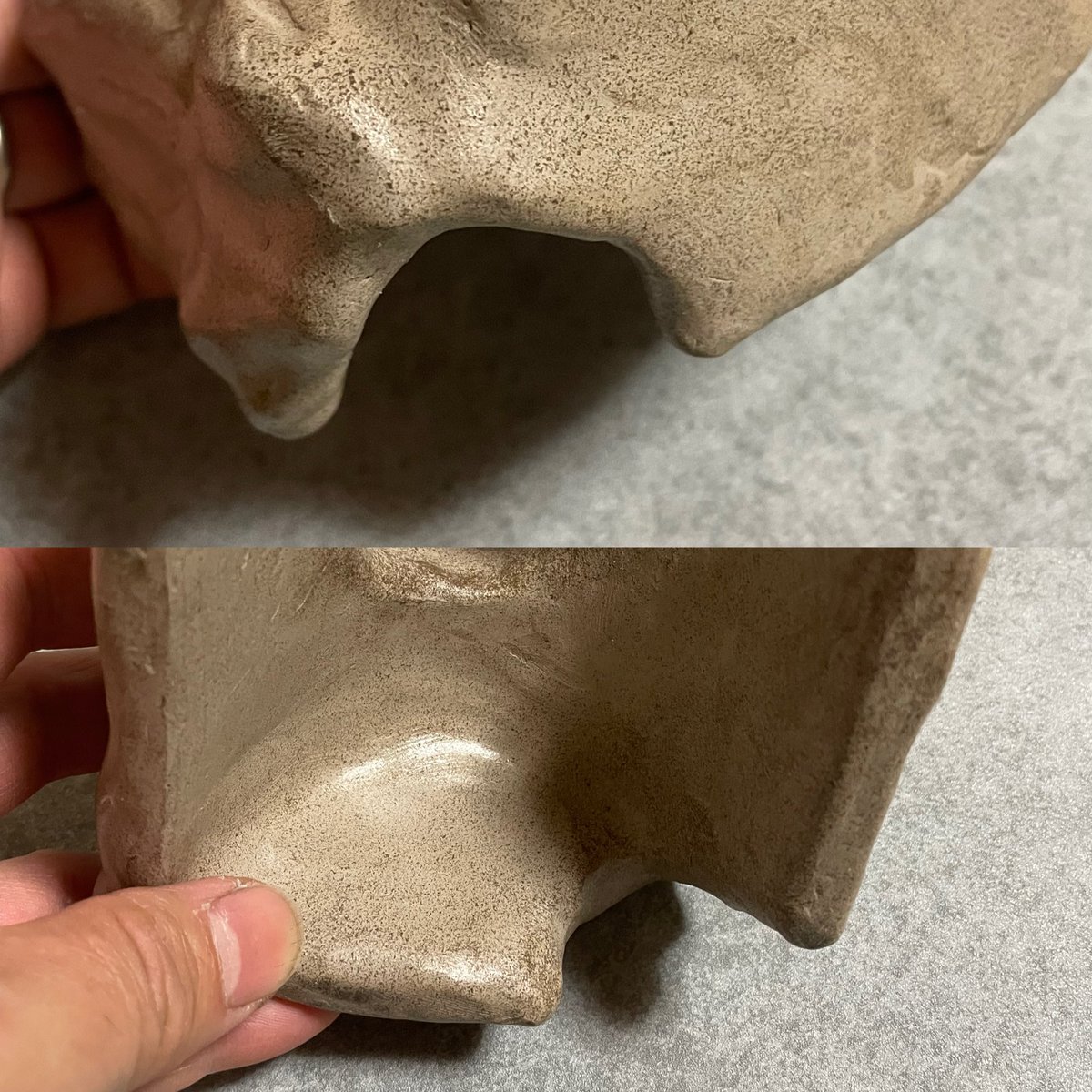 ポンコツあんのうん🐍 tweet media