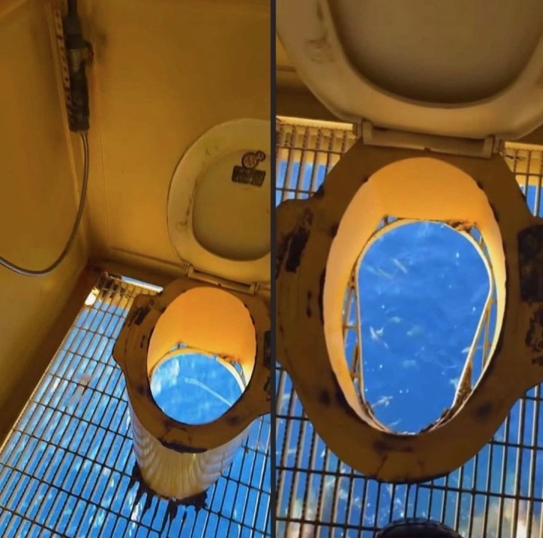 Авиасейлс tweet media