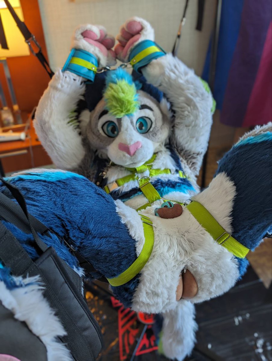 Luka Cabbit @ FWA (after bedtime) tweet media