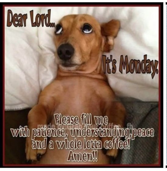 Julssszz1's tweet image. Good Morning Friends!🌞☕😁
#Mondayvibes