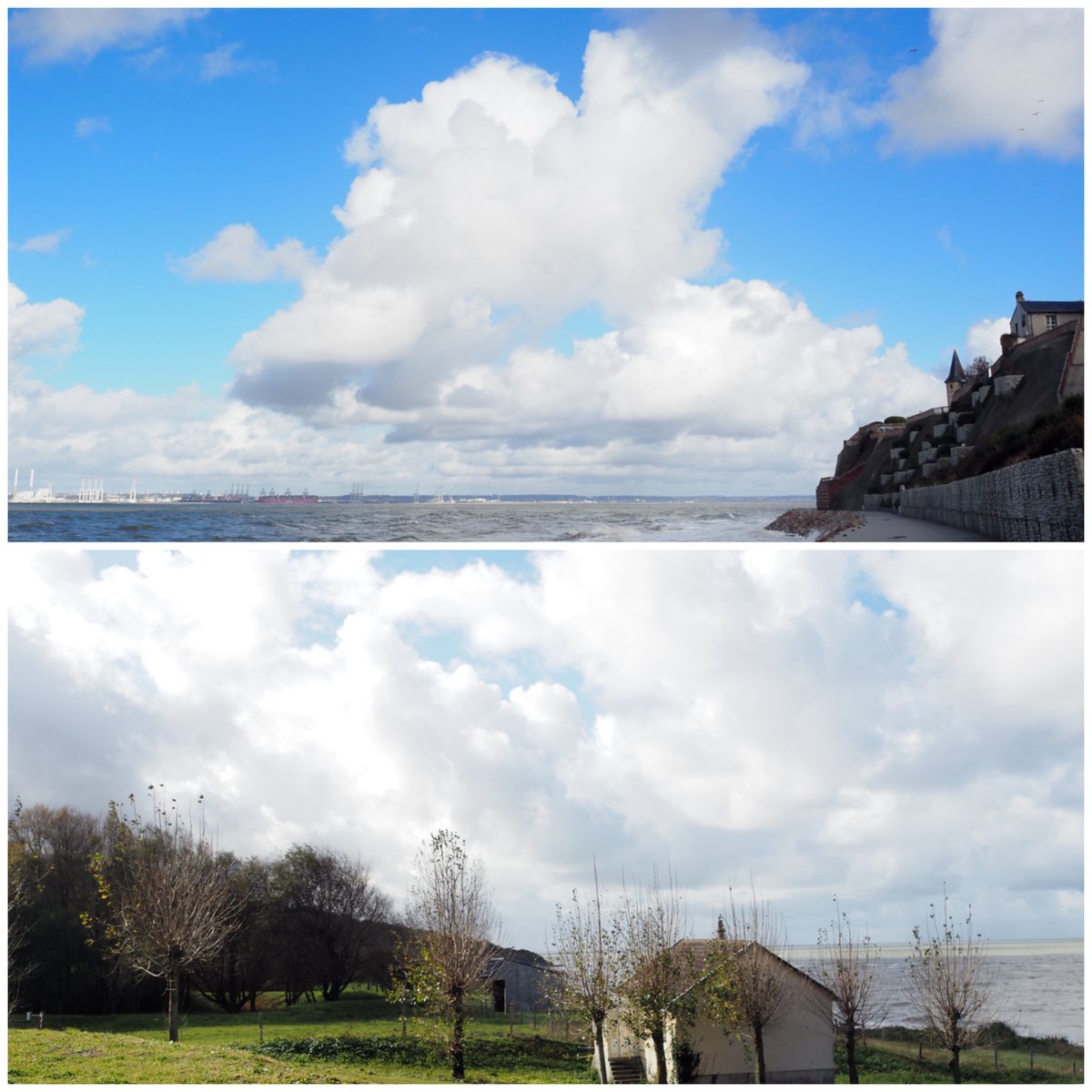 浅野光代 tweet media