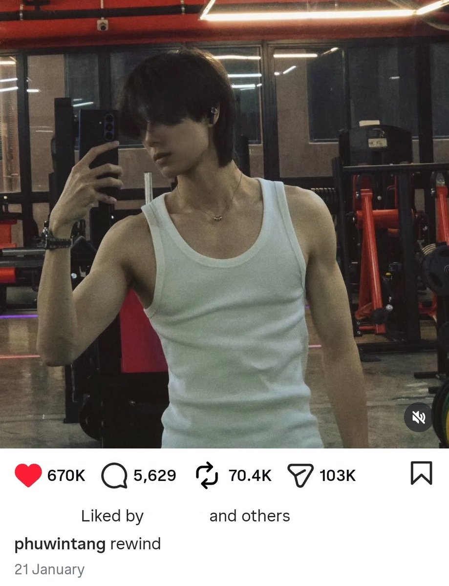 mibearry tweet media