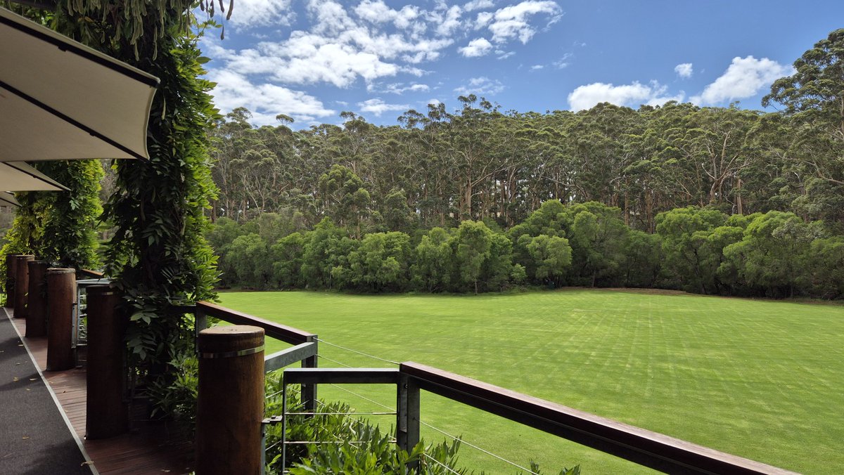 taipan168 tweet media