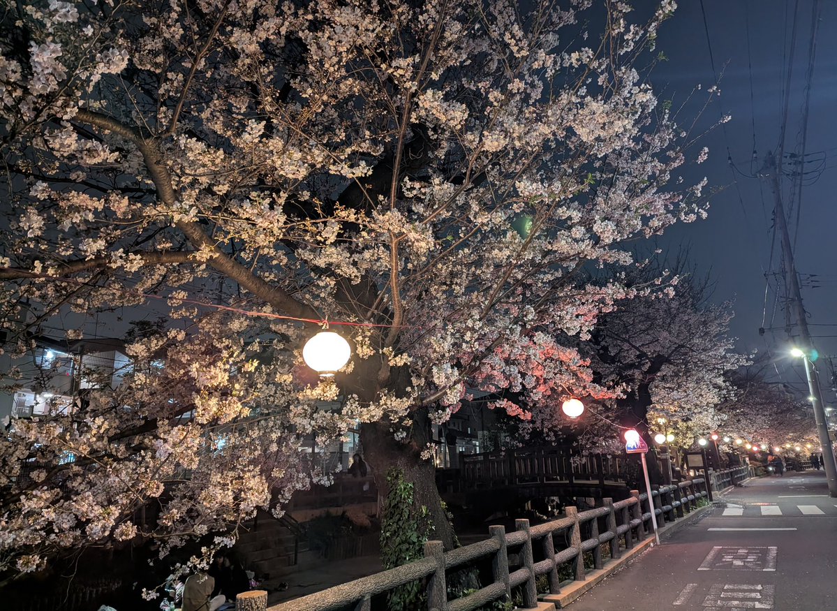 ストイック STOICCCC tweet media