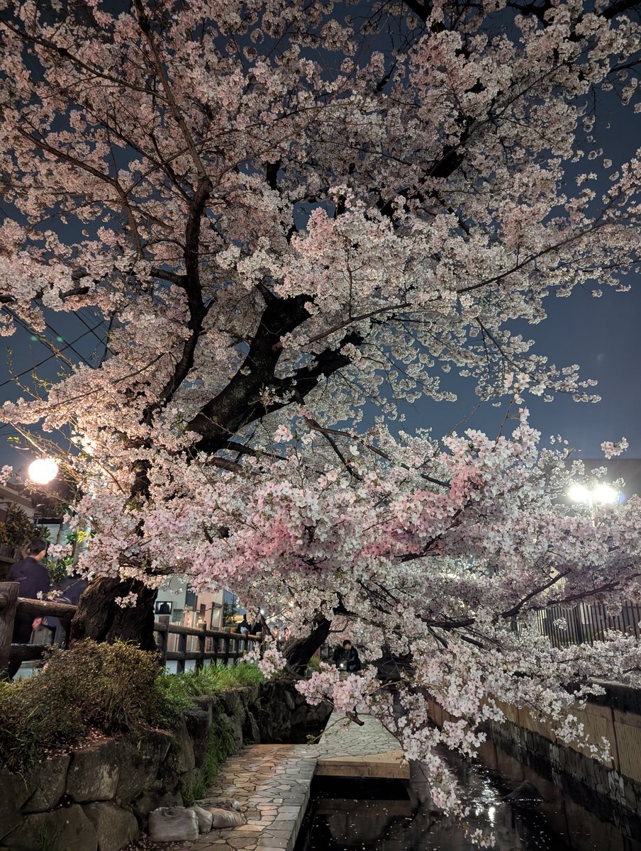 ストイック STOICCCC tweet media