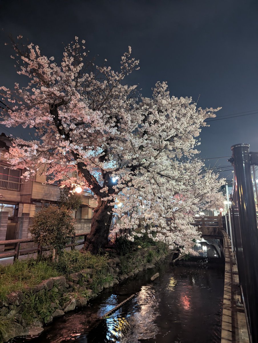 ストイック STOICCCC tweet media