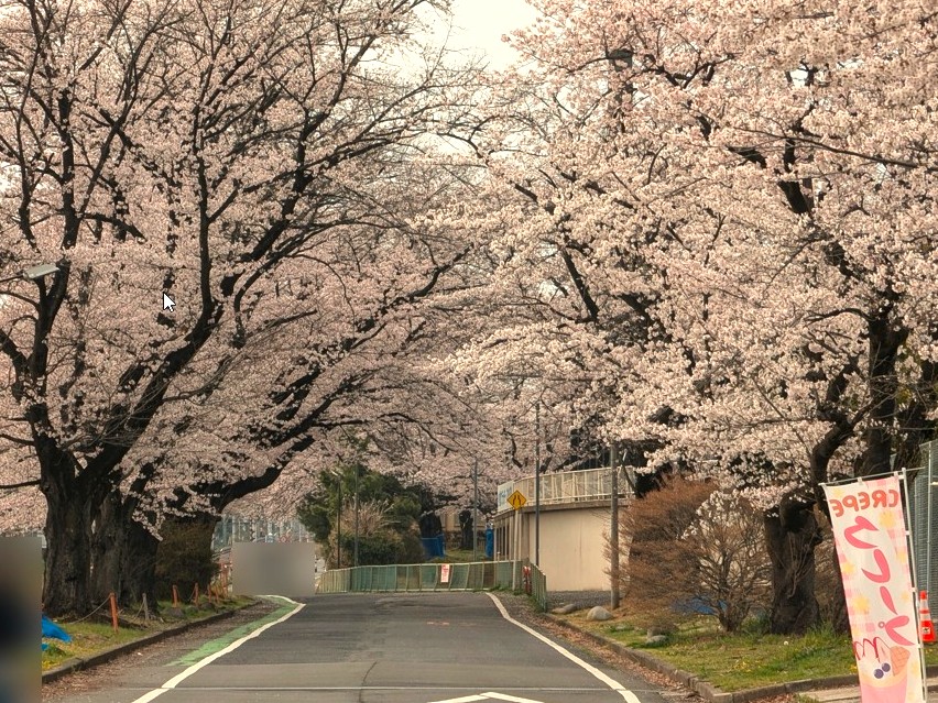 ﾄﾞﾗｲﾌﾞ400 tweet media