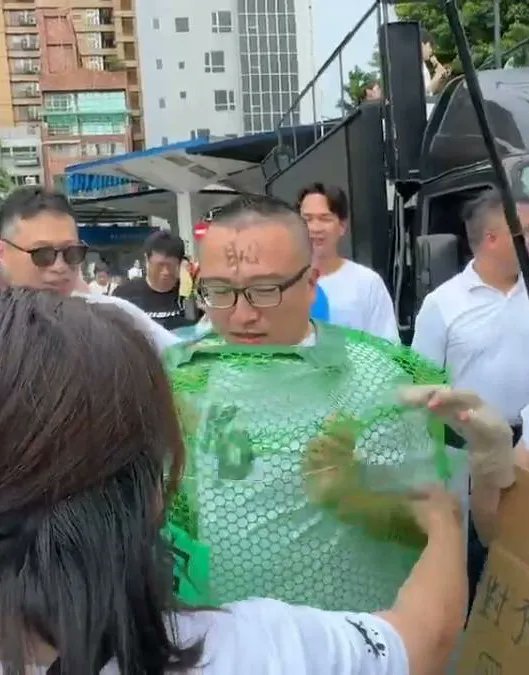 歐帝棉 tweet media