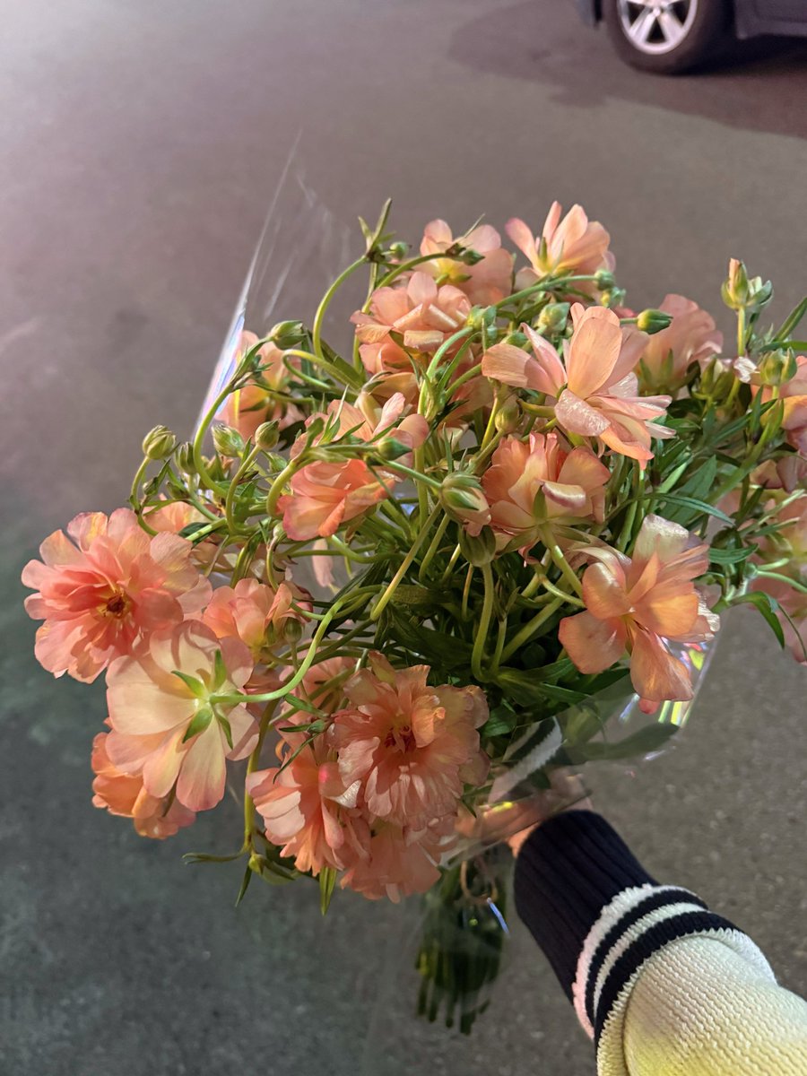 lightbeeny's tweet photo. 봄엔 퇴근 길에 꽃을 삽니당🌸🌼🌷 https://t.co/h2j9qFvtP6