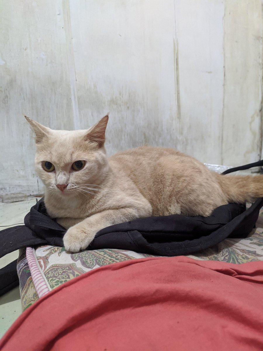 new keyy tweet media