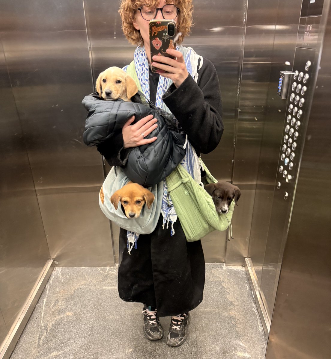 hellfire jr tweet media