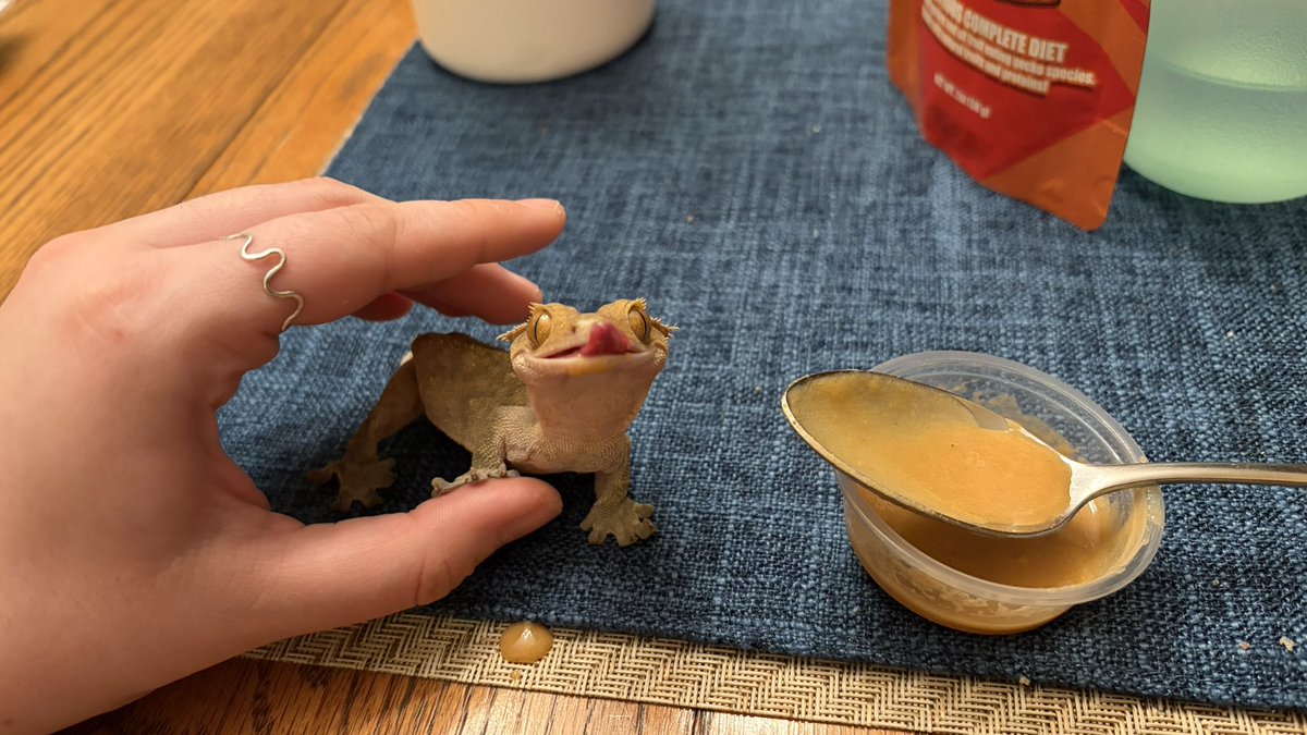 FathomFangs tweet media