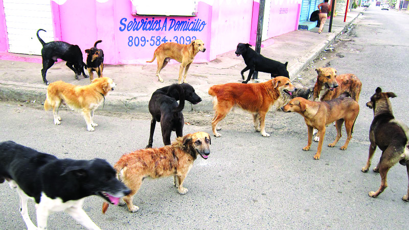 LISTÍN DIARIO tweet media