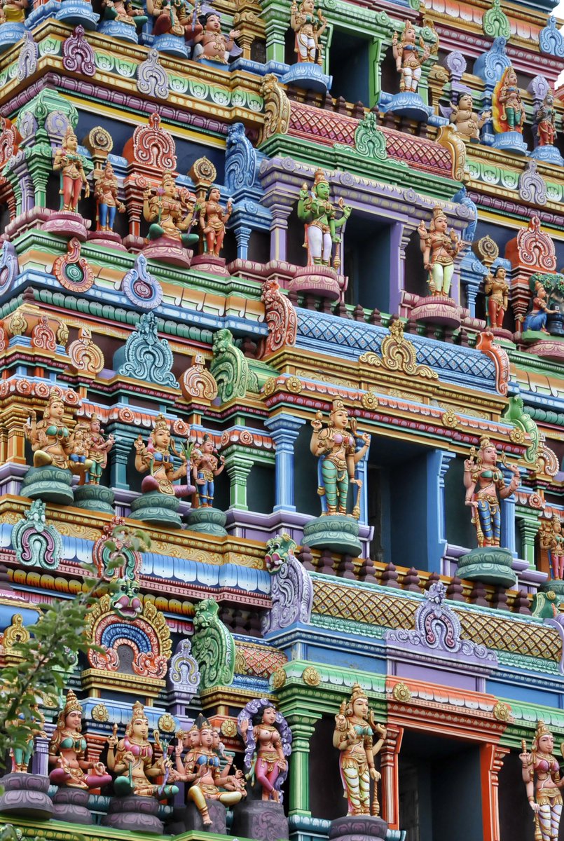 Lusca Fusca tweet media