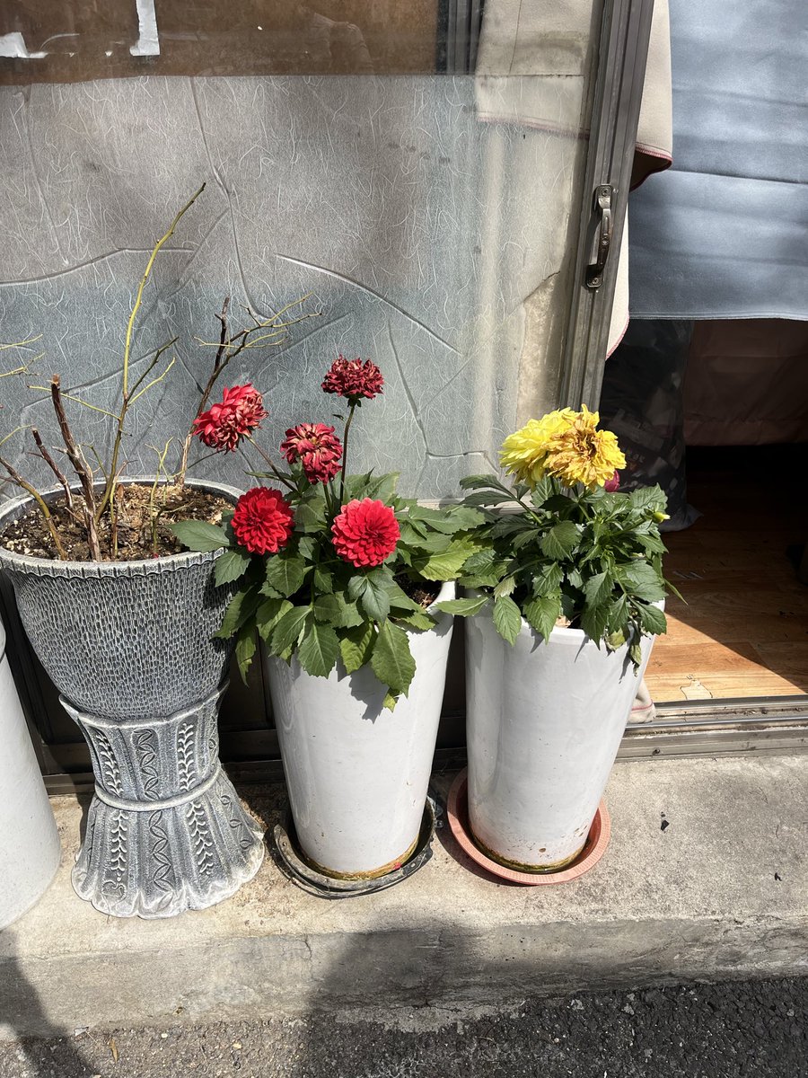 PatchPie 패치파이 tweet media