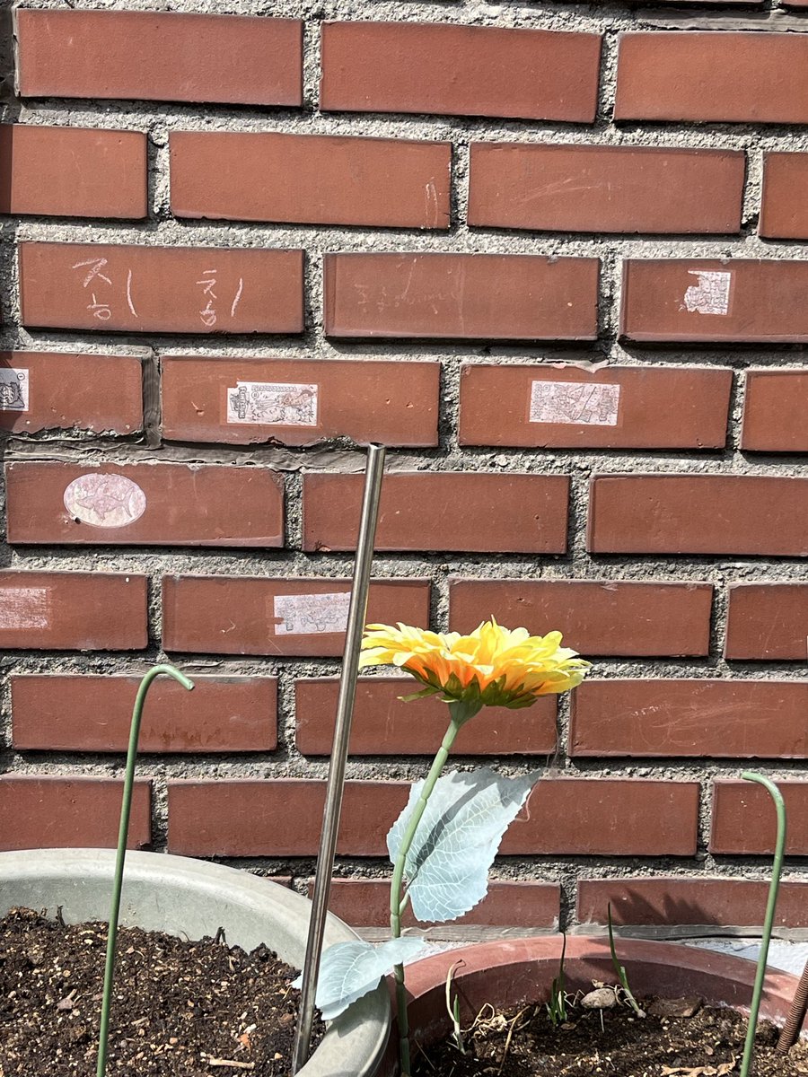 PatchPie 패치파이 tweet media