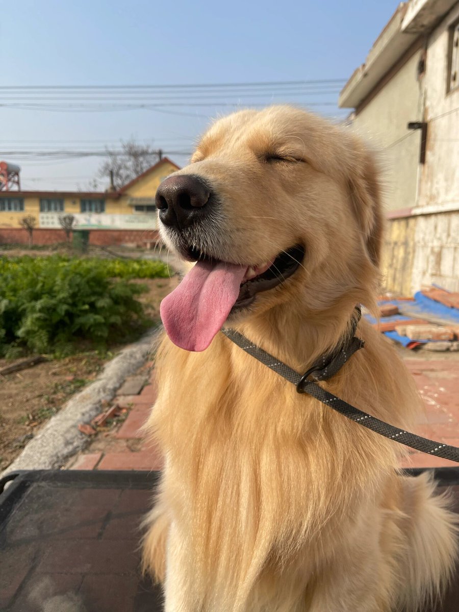 David LLacer tweet media