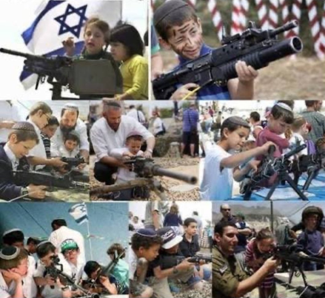 پاپیون tweet media