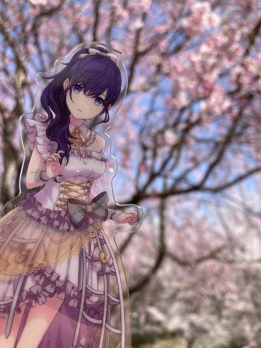 こゆ tweet media