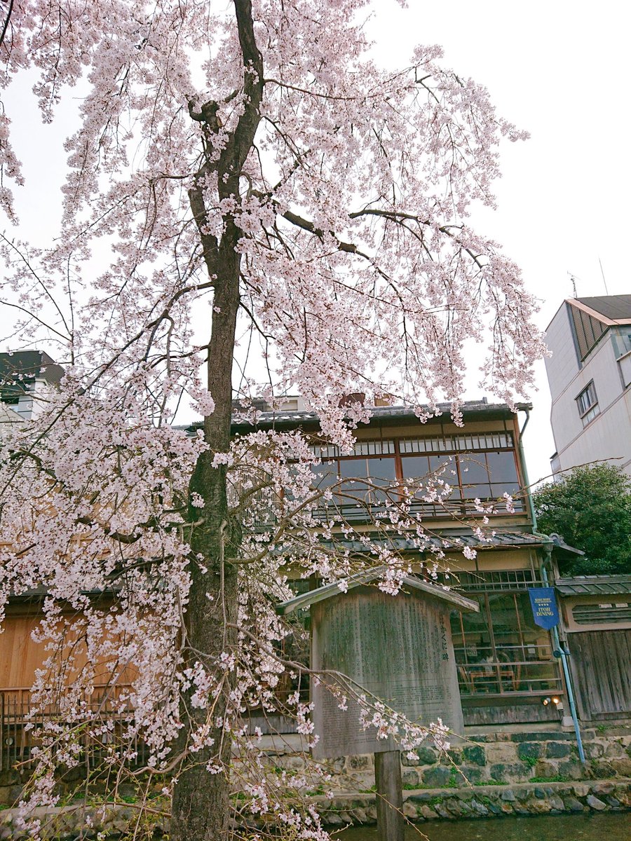 𝐲𝐮𝐦𝐢｜第31回キャリコン挑戦中✨ tweet media