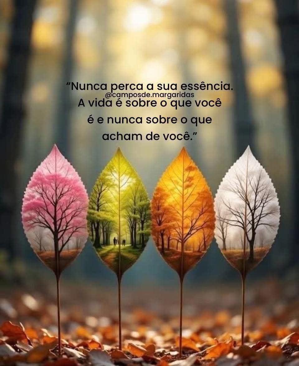 Bom dia e excelente semana santa a todos 👍🙏🙏