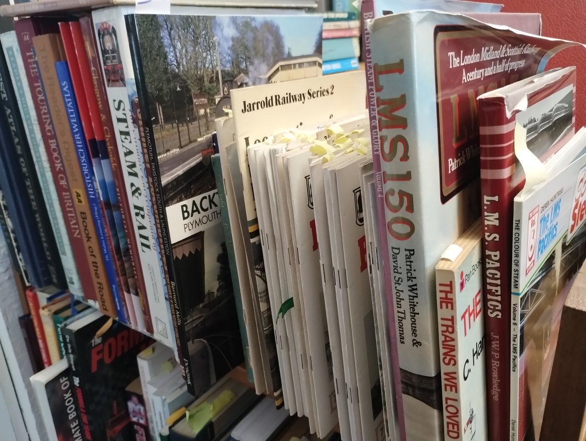 Katrina Rotgalve tweet media