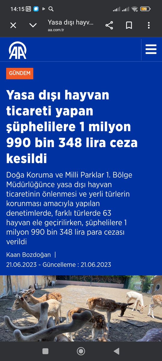 Metehan Aksoy tweet media