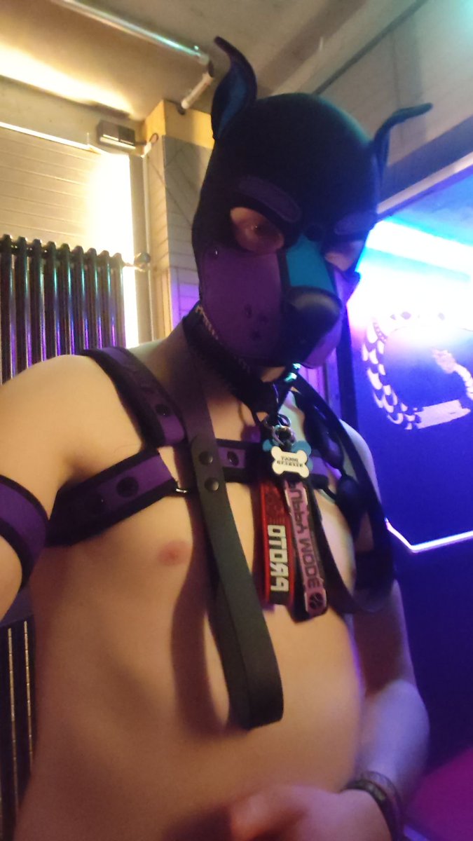 MetaPupAD's tweet photo. This doggo was partying in Berlin this weekend at @Doggyweekend . Only problem: it's already over! https://t.co/iAZ1LxCu9O