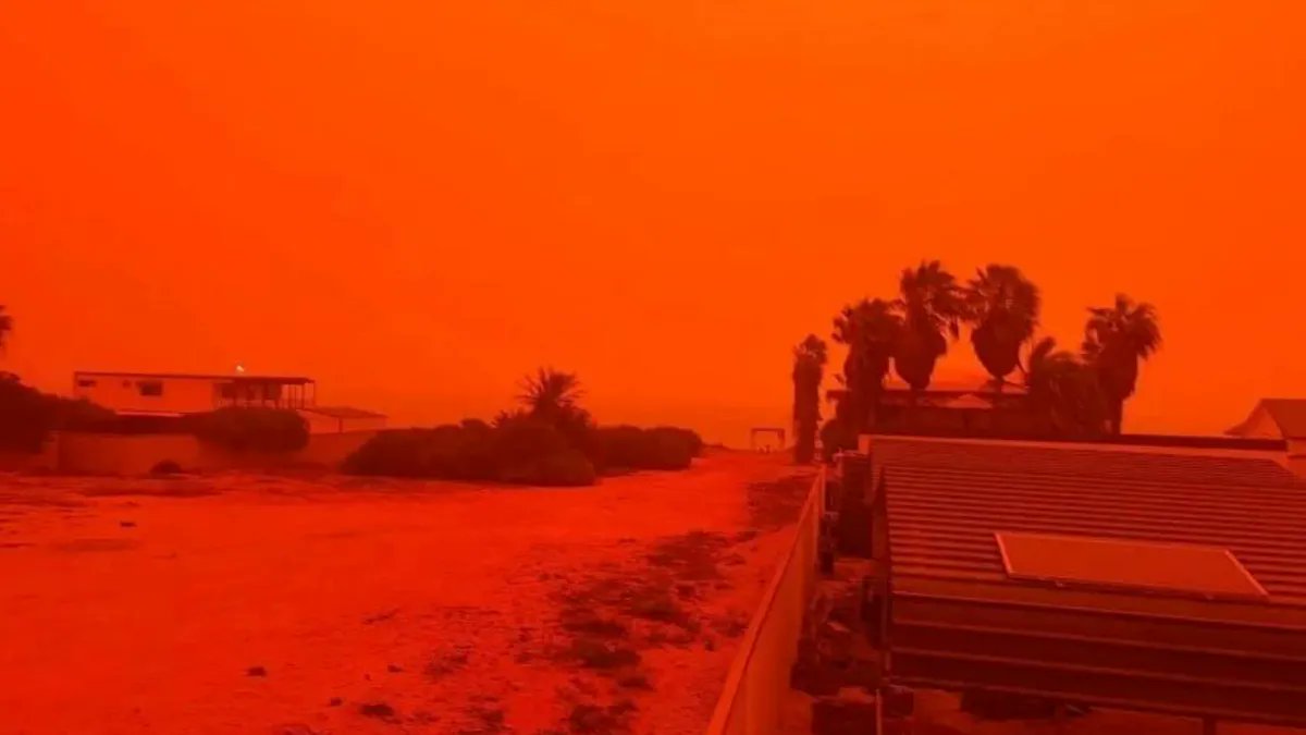 intriper tweet media