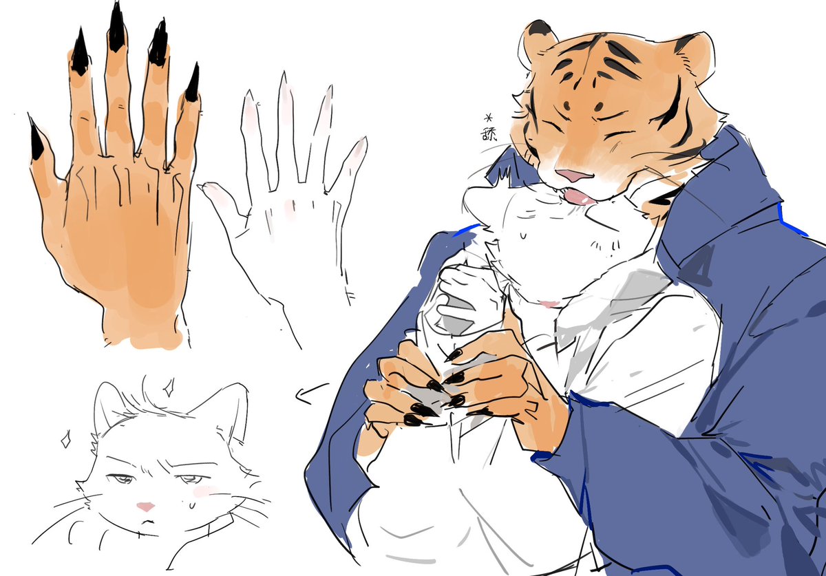 我叫培根🥓 tweet media