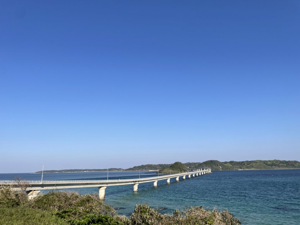 アンモと5台の愛車達 tweet media