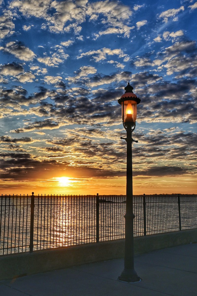 Tracy Thompkins tweet media