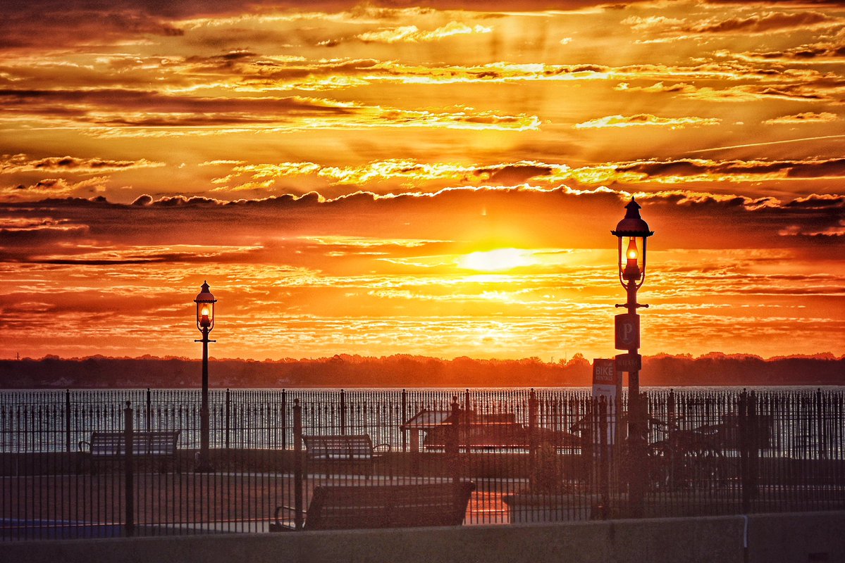 Tracy Thompkins tweet media