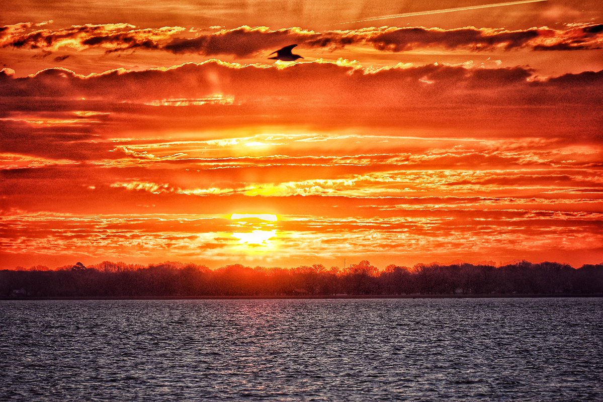 Tracy Thompkins tweet media