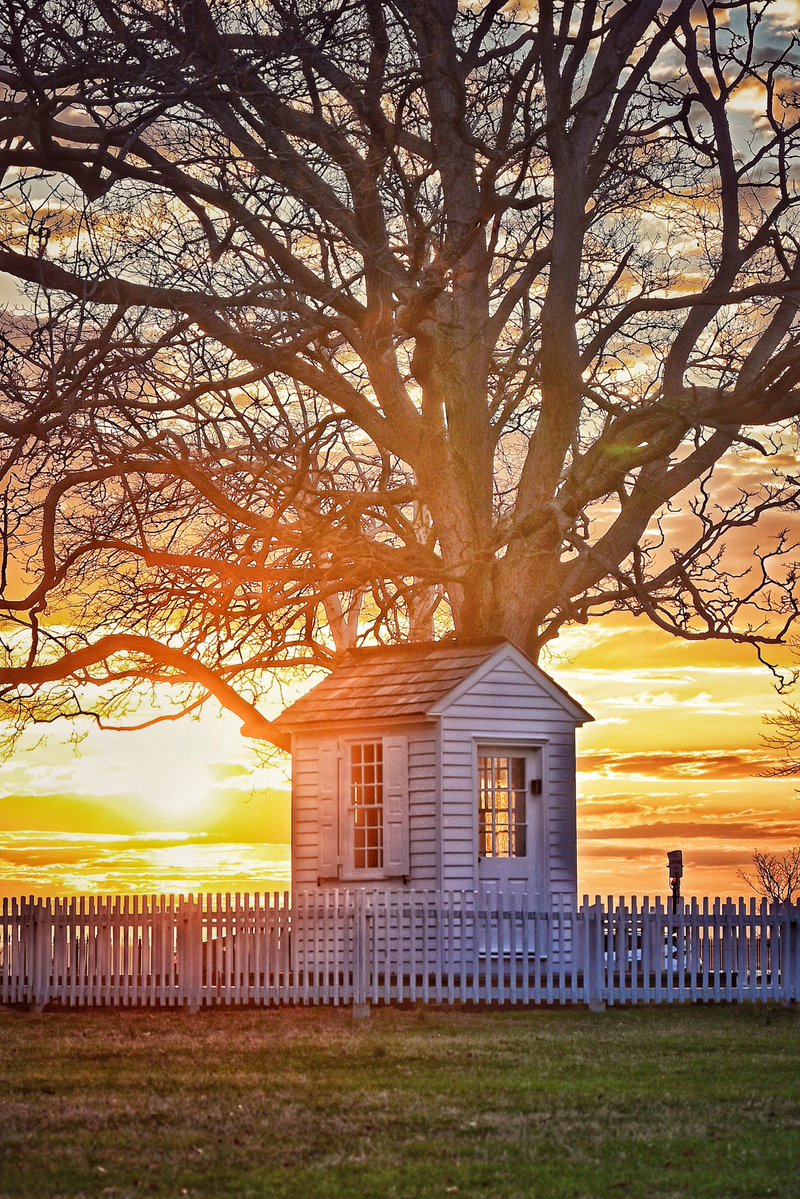 Tracy Thompkins tweet media