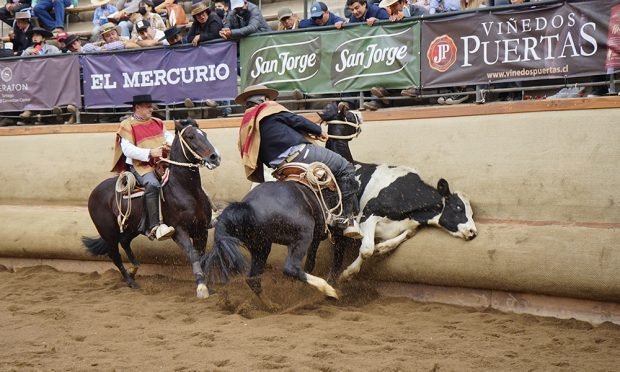Nadie lo vió venir tweet media