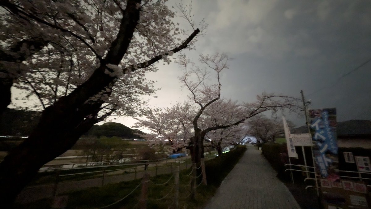 るぅたま¿ぽてこ🍟 tweet media