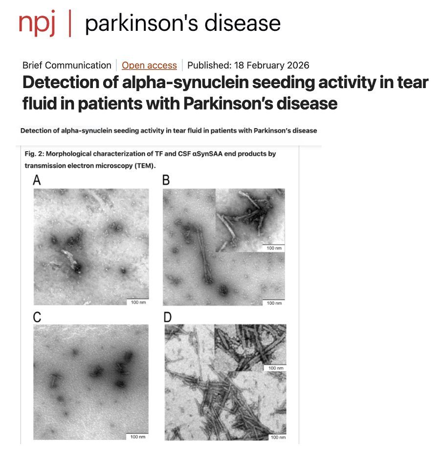 Michael Okun tweet media
