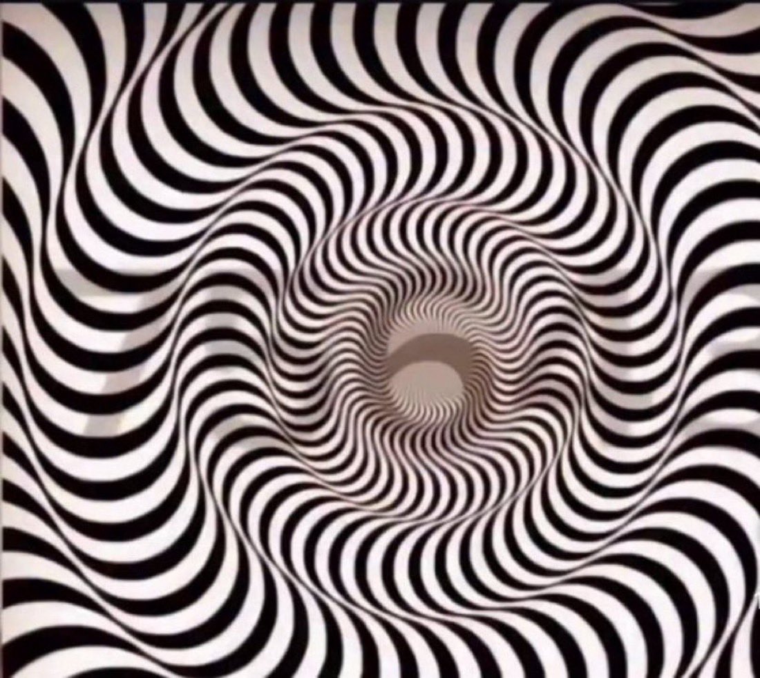 Mindful Journey 🌸🙌🏻 tweet media