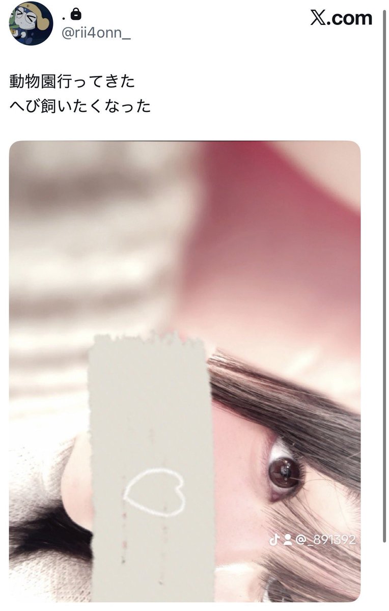 ツイ廃デスノートbot tweet media